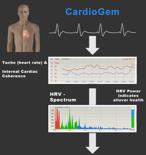 scientific american article cardiac coherence